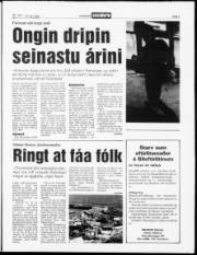 Síða 3