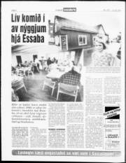 Síða 4
