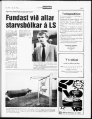 Síða 5