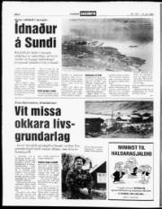 Síða 6