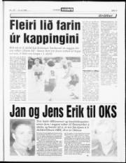 Síða 13