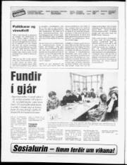 Síða 2
