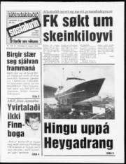 Síða 1