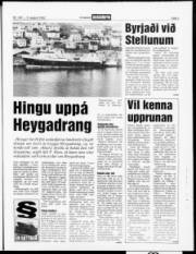 Síða 3