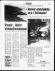 Síða 3