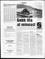 Síða 4