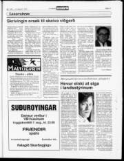 Síða 13