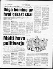 Síða 7