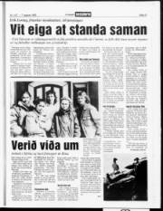 Síða 13