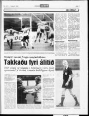 Síða 17