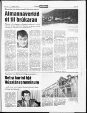 Síða 19