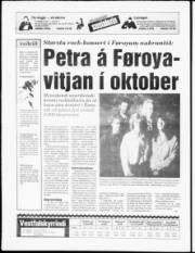 Síða 20