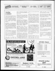 Síða 2