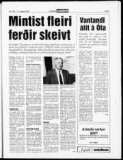 Síða 3