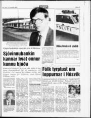 Síða 11