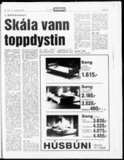 Síða 13