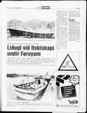 Síða 5