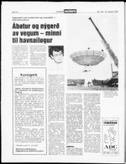 Síða 10