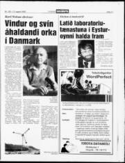 Síða 11