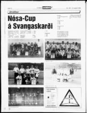 Síða 12