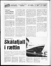 Síða 2
