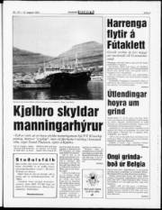 Síða 3