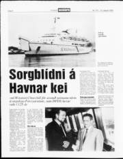 Síða 8