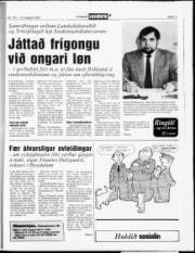 Síða 11