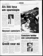 Síða 13