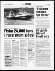 Síða 3