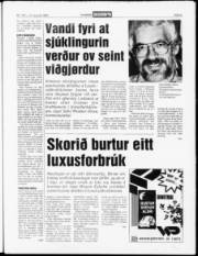 Síða 5