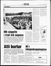 Síða 14