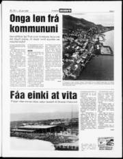 Síða 3