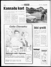 Síða 6