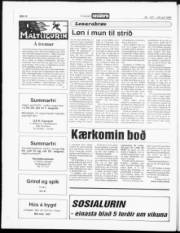 Síða 14