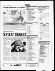 Síða 15
