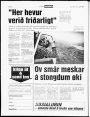 Síða 12
