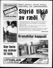 Síða 1