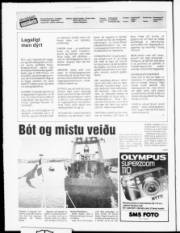 Síða 2