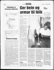 Síða 6