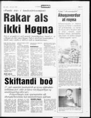 Síða 13
