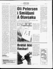 Síða 13