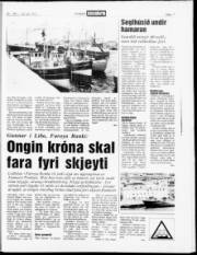 Síða 17