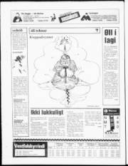 Síða 24