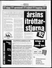 Síða 17