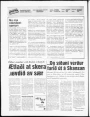 Síða 2