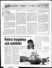 Síða 2