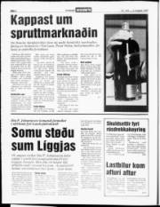 Síða 4