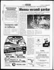 Síða 6