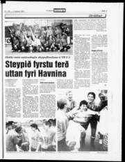Síða 13